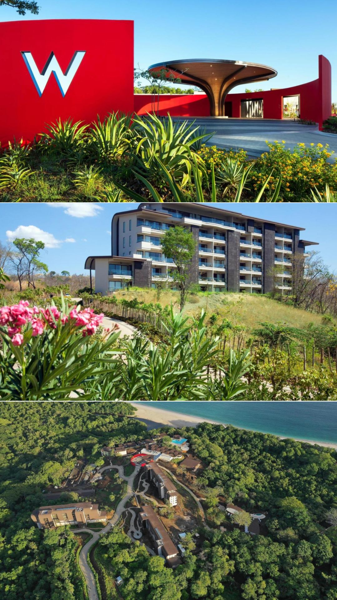 w conchal building - overview